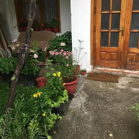 Vila Argis Guest house *